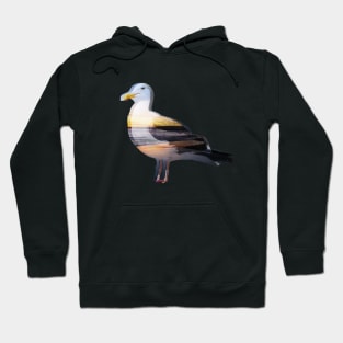 Beach Seagull Hoodie